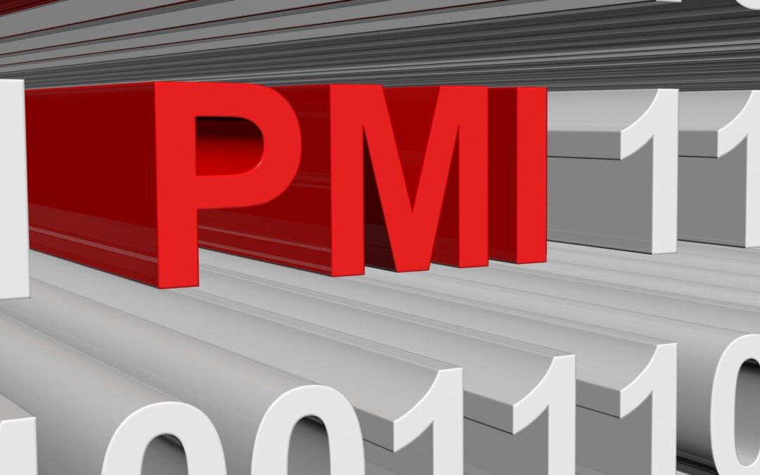 PMI i numeri italiani