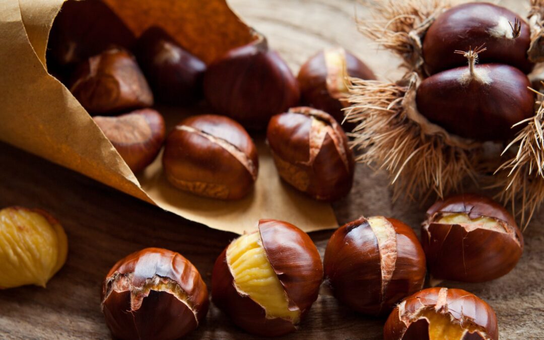 Castagne, simbolo dell’autunno e gioia per il palato.