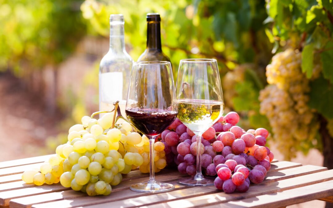 Nuove dinamiche socio-culturali di consumo del vino