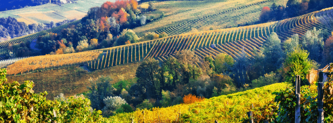 Agriturismi italiani in crescita