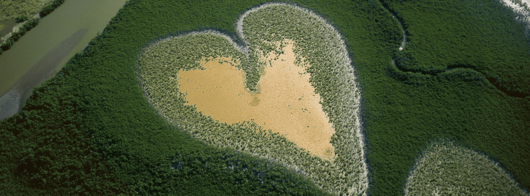 La Terra vista dal cielo la mostra fotografica di Yann Arthus Bertrand