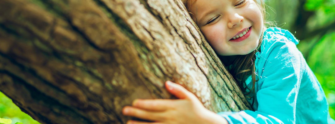 In Piemonte un miliardo di alberi, ma non bastano